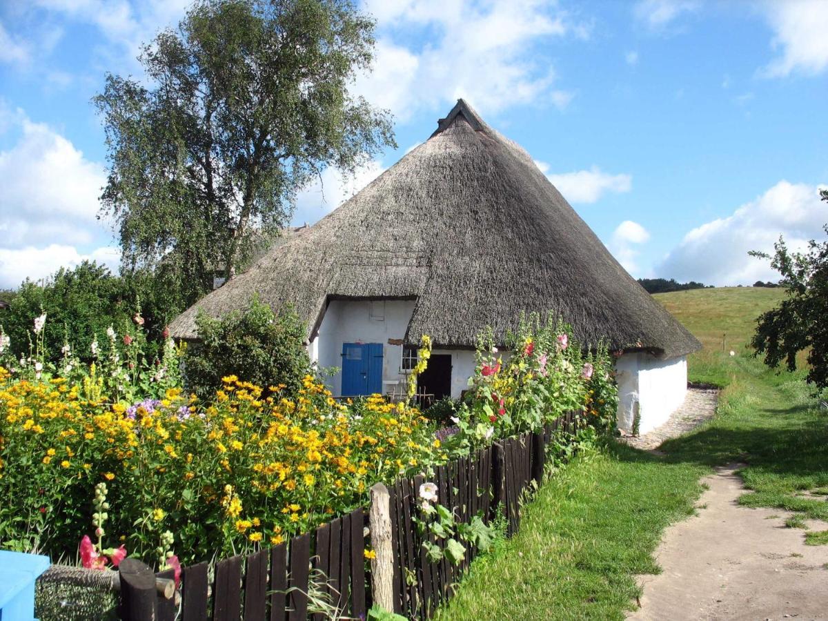 Ferienhaus Zum Boddenstrand Mit Ka Groß Zicker Exteriör bild